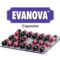 Evanova Capsule is a safe and effective formulation that provides maximum relief from the multiple menopause symptoms. Evanova capsule , a rich source of isoflavones (from soya) provides phytoestrogenic support to reduce intensity and frequency of hot flushes and night sweats during menopausal transition. Evanova plays an important role in the prevention of post-menopausal complications including osteoporosis, cardiovascular disorders. Evanova also improves the impaired lipid profile. Evanova Capsule with its ingredients like Jatamansi (Nardostachys jatamansi), Shankhpushpi (Celastrus paniculatus) and Brahmi (Herpestis monniera) helps to manage irritability, insomnia, mood swings & fatigue to make you feel good. Evanova offers non-hormonal approach to achieve best prophylaxis for relief from perimenopause symptoms without ill effects of Hormone Replacement Therapy (HRT).